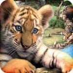 Wildlife Park MOD APK