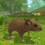 mouse-simulator-forest-home-mod-apk-techtodown